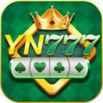 YN 777